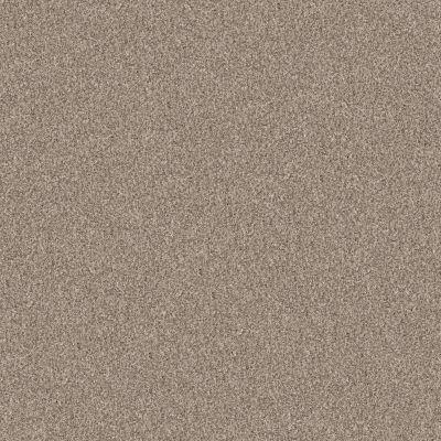 Shaw Floors Pet Perfect Yes You Can II 12′ Natural 00109_5E569