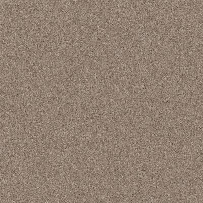 Shaw Floors Pet Perfect Yes You Can II 12′ Subtle Clay 00114_5E569