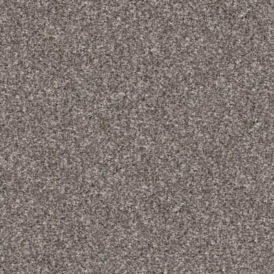 Shaw Floors Pet Perfect Yes You Can II 12′ Alaskan Air 00500_5E569