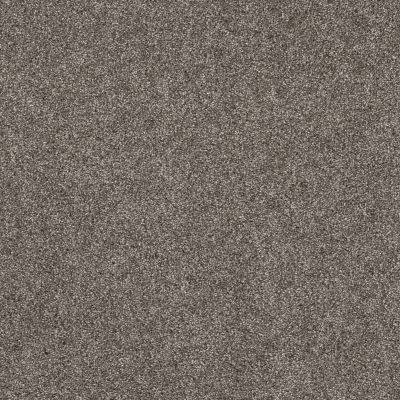 Shaw Floors Pet Perfect Yes You Can II 12′ Ashes 00501_5E569