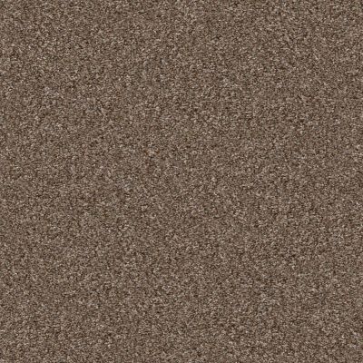 Shaw Floors Pet Perfect Yes You Can II 12′ Worn Path 00700_5E569