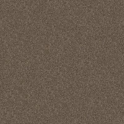 Shaw Floors Pet Perfect Yes You Can II 12′ Mission Ridge 00705_5E569
