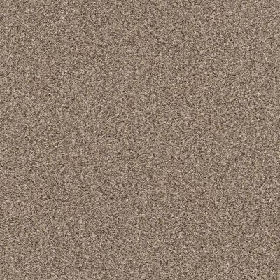 Shaw Floors Pet Perfect Yes You Can III 12′ Sea Shell 00100_5E570