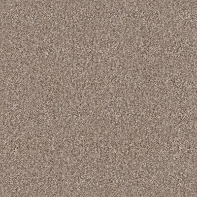 Shaw Floors Pet Perfect Yes You Can III 12′ Glacier 00110_5E570