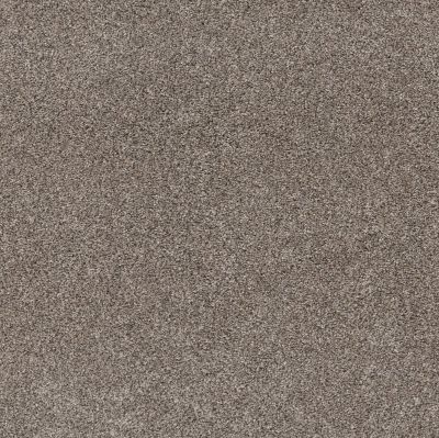 Shaw Floors Pet Perfect Yes You Can III 12′ Warm Light 00116_5E570
