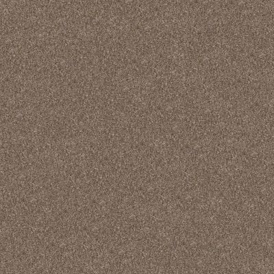 Shaw Floors Pet Perfect Yes You Can III 12′ Honeycomb 00207_5E570
