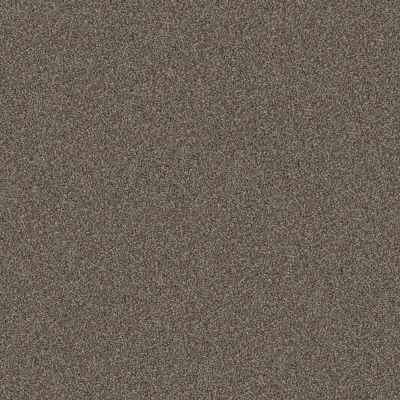 Shaw Floors Pet Perfect Yes You Can I 15′ Urban Rustic 00708_5E571