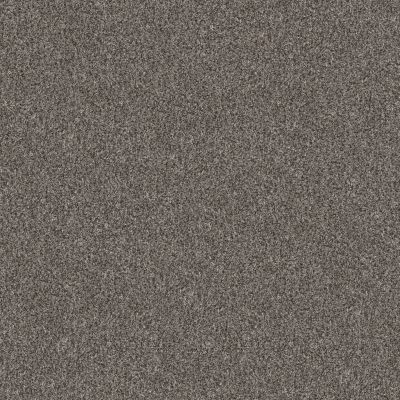 Shaw Floors Pet Perfect Yes You Can II 15′ Marble 00103_5E572