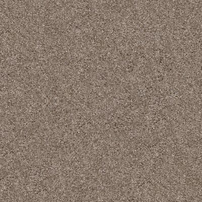 Shaw Floors Pet Perfect Yes You Can III 15′ Cameo 00113_5E573
