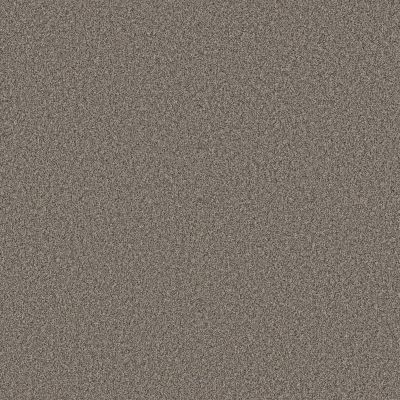 Shaw Floors Pet Perfect Plus Artistic Fusion I Warm Light 00116_5E574