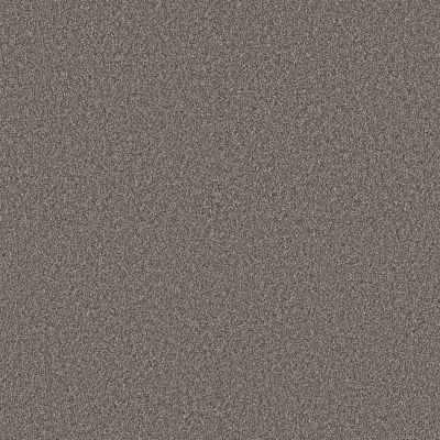Shaw Floors Pet Perfect Plus Artistic Fusion II Ashes 00501_5E575