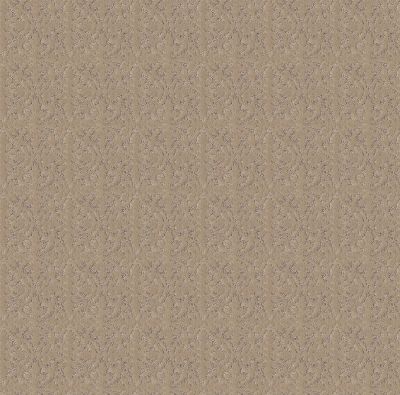 Shaw Floors Pet Perfect Plus Light Impressions Worn Path 00700_5E584
