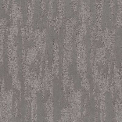 Shaw Floors Pet Perfect Plus Tranquil Spirit Vintage 00509_5E585