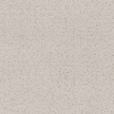 Shaw Floors Pet Perfect Intricate Trace Marble 00103_5E587
