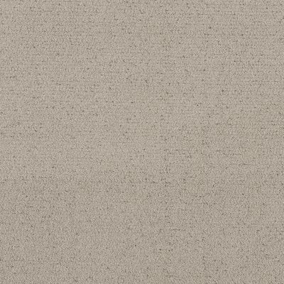 Shaw Floors Pet Perfect Intricate Trace River Birch 00106_5E587