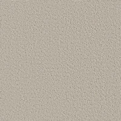Shaw Floors Pet Perfect Intricate Trace Natural 00109_5E587
