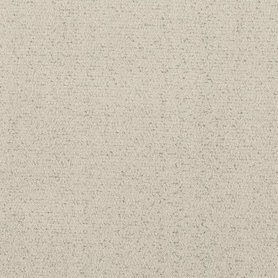 Shaw Floors Pet Perfect Intricate Trace Snowfall 00150_5E587