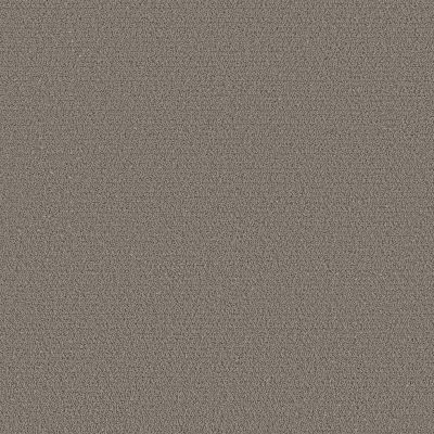 Shaw Floors Pet Perfect Intricate Trace Ashes 00501_5E587