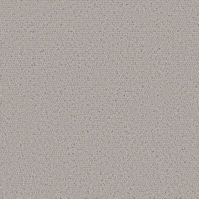 Shaw Floors Pet Perfect Intricate Trace Flannel 00503_5E587