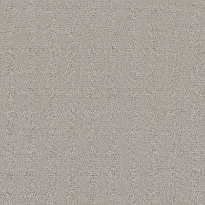 Shaw Floors Pet Perfect Intricate Trace Rock Crystal 00508_5E587