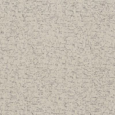 Shaw Floors Pet Perfect Run Free Marble 00103_5E588
