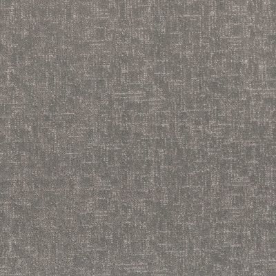 Shaw Floors Pet Perfect Run Free Vintage 00509_5E588