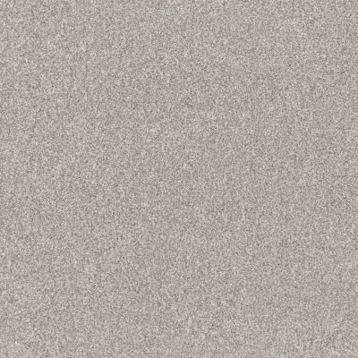 Shaw Floors Pet Perfect Yes You Can I 12′ Net Frozen 00107_5E590