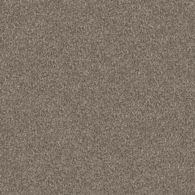 Shaw Floors Pet Perfect Yes You Can I 15′ Net Soft Sense 00112_5E591