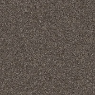 Shaw Floors Pet Perfect Yes You Can II 12′ Net Cafe Noir 00706_5E592