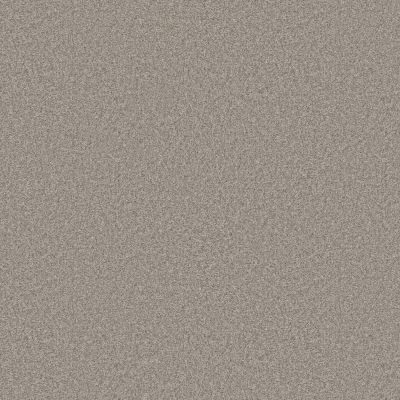 Shaw Floors Pet Perfect You Got This I Net Chic Greige 00111_5E596
