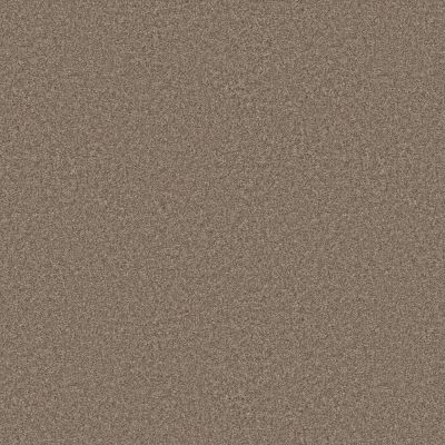 Shaw Floors Pet Perfect You Got This I Net Cameo 00113_5E596