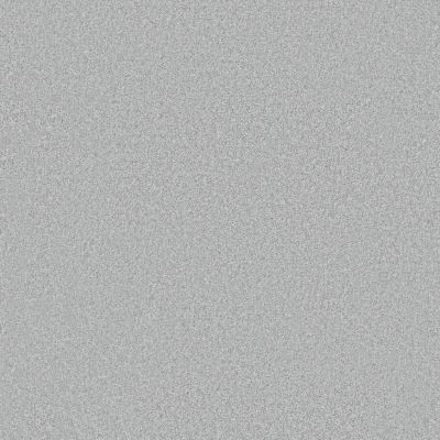 Shaw Floors Pet Perfect You Got This III Net Serene Blue 00453_5E598