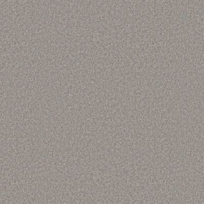 Shaw Floors Pet Perfect You Got This III Net Rock Crystal 00508_5E598