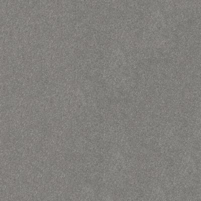 Shaw Floors Pet Perfect Hard At Play III 15 Net Vintage 00509_5E604