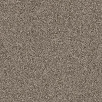 Shaw Floors Pet Perfect Plus Artistic Fusion I Net Sea Shell 00100_5E610