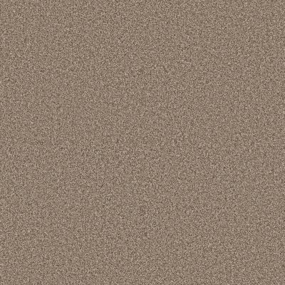 Shaw Floors Pet Perfect Plus Artistic Fusion I Net Cameo 00113_5E610