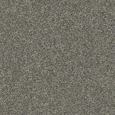 Shaw Floors Pet Perfect Plus Artistic Fusion I Net Shadow 00502_5E610