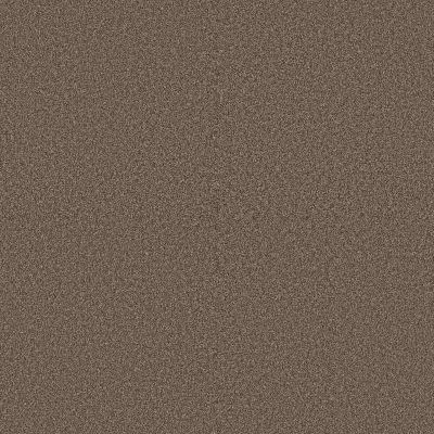 Shaw Floors Pet Perfect Plus Artistic Fusion I Net Orange Oxide 00651_5E610