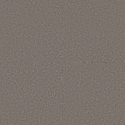 Shaw Floors Pet Perfect Plus Artistic Fusion I Net Midnight Brown 00756_5E610