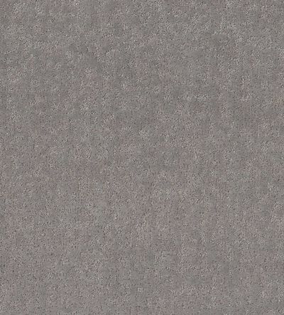 Shaw Floors Pet Perfect Plus Home Within Net Vintage 00509_5E612