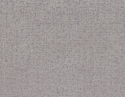 Shaw Floors Pet Perfect Plus Home Within Net Lilac Gray 00550_5E612