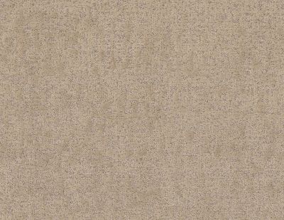 Shaw Floors Pet Perfect Plus Home Within Net Worn Path 00700_5E612