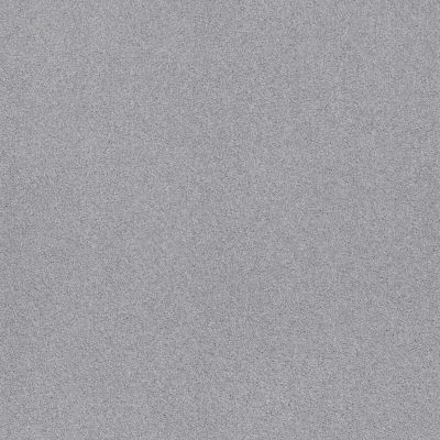 Shaw Floors Sweet Inspiration I Net Silver Strand 00538_5E618