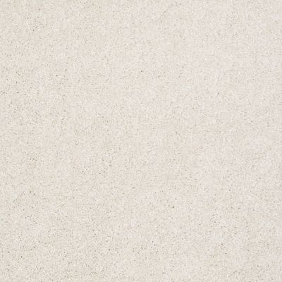 Shaw Floors Sweet Inspiration II Net Natural Cotton 00110_5E619
