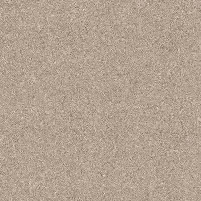 Shaw Floors Sweet Inspiration II Net Scone 00113_5E619