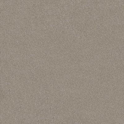 Shaw Floors Sweet Inspiration II Net Frosted Ice 00510_5E619