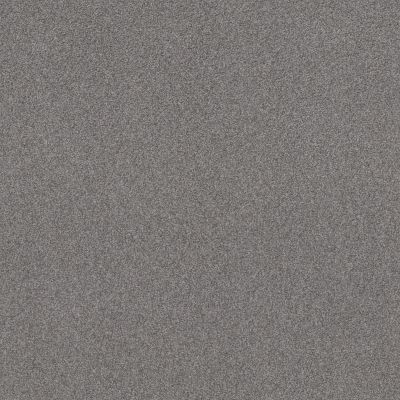 Shaw Floors Sweet Inspiration II Net Charcoal 00525_5E619