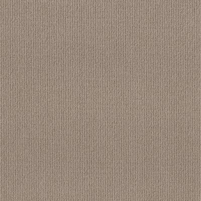 Shaw Floors Feisty Net Smooth Taupe 00119_5E620