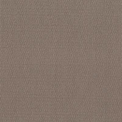 Shaw Floors Feisty Net Branch 00710_5E620