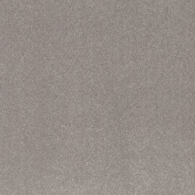 Shaw Floors Smooth Talk I Net Mystic Heather 00541_5E625